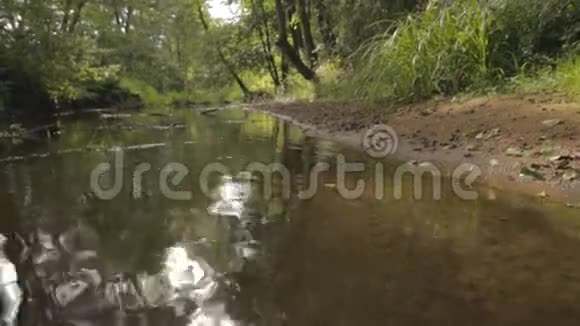 美丽的女孩走在森林河畔视频的预览图