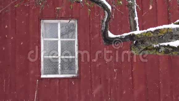 带窗户的红色木屋背景下的雪视频的预览图