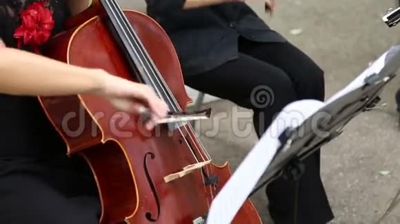 弹大提琴的女音乐家视频的预览图