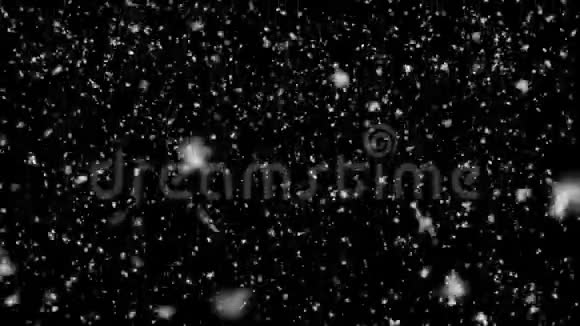 高质量的运动动画忏悔降雪动画上的黑色背景视频的预览图