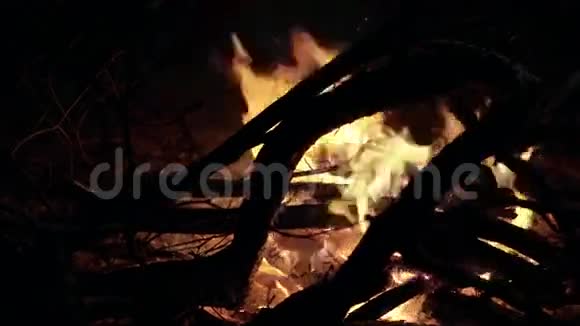 篝火在夜晚的背景下燃烧着树枝4K视频的预览图