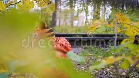 在秋天公园玩树叶的孩子在新鲜空气中散步秋天的风景一个美丽的风景胜地视频的预览图