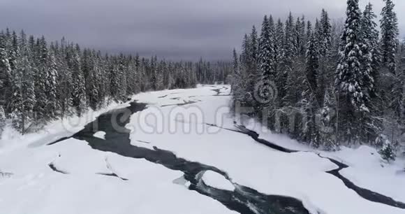 冬季4k流过雪林视频的预览图