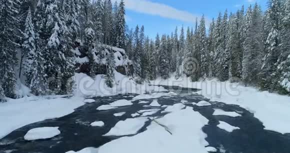 溪流流经雪林4k视频的预览图