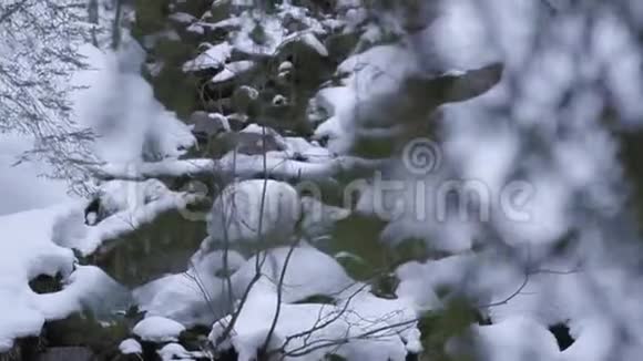 树林中的山涧瀑布和雪视频的预览图