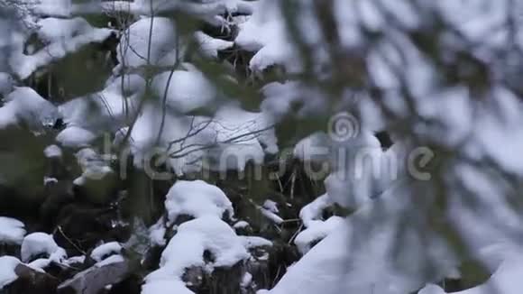 树林中的山涧瀑布和雪视频的预览图