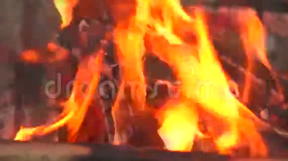 木头在火的特写视频的预览图