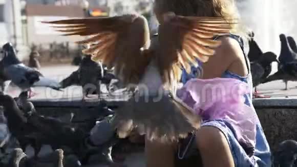 小可爱的女孩在公园喂街鸽在夏天4K慢动作视频的预览图