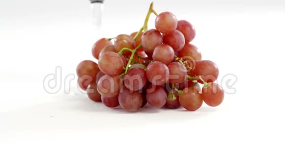 配上一杯红酒的红串葡萄视频的预览图
