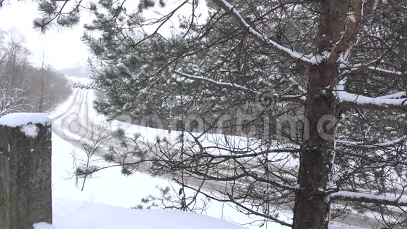 汽车在乡村公路上行驶冬天下雪4K视频的预览图