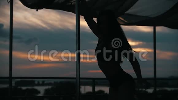 日落时的女舞者剪影钢管舞慢动作视频的预览图