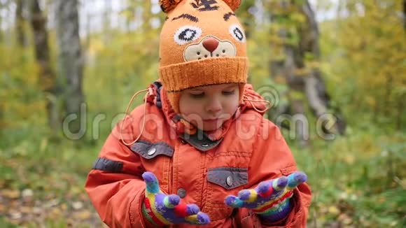 秋天公园的孩子玩得很开心在新鲜空气中散步秋天的风景一个美丽的风景胜地视频的预览图