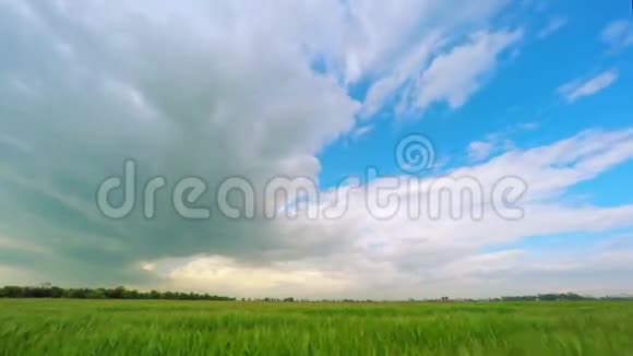 绿色麦田上的乌云视频的预览图
