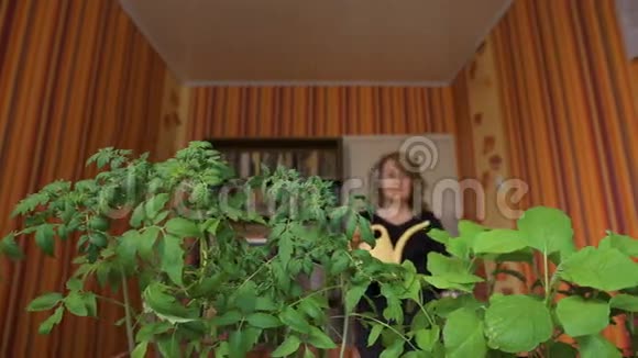 快乐成熟的女园丁在家浇芽视频的预览图
