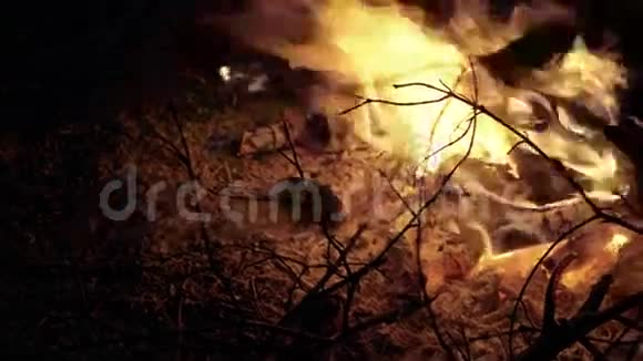 关闭靠近木头燃烧的篝火背景资料视频的预览图