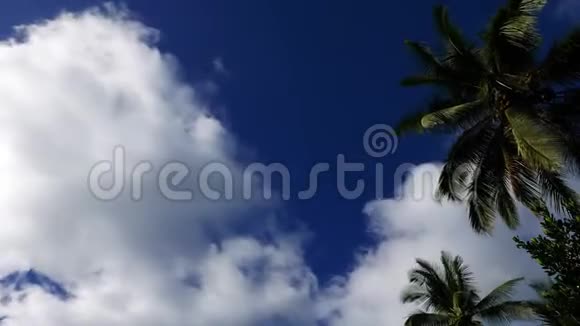 棕榈树后面的云彩时间流逝视频的预览图