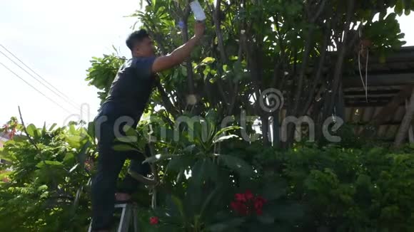 泰国男子在泰国Nonthaburi的家门口的花园里园艺和剪枝视频的预览图