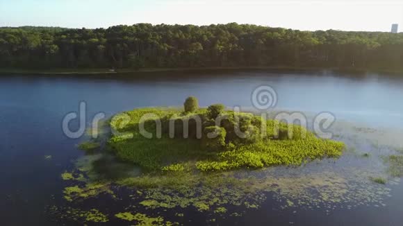科德角淡水湖鸟瞰图视频的预览图