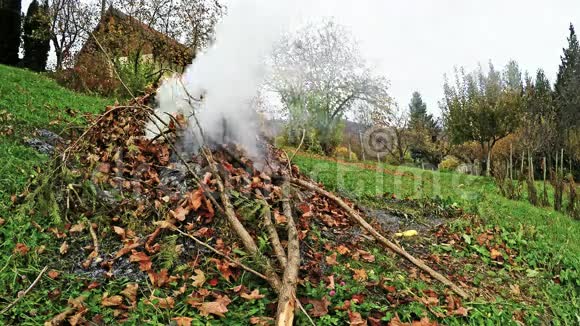 焚烧花园垃圾视频的预览图