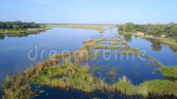 纳米比亚和安哥拉边界的奥卡万戈三角洲河流视频的预览图