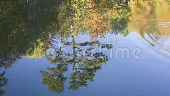 湖面上的涟漪视频的预览图