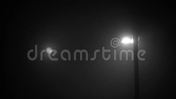 夜雾中的街灯视频的预览图