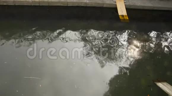 米兰市中心的瓦伦纳运河有鸭子和海龟视频的预览图