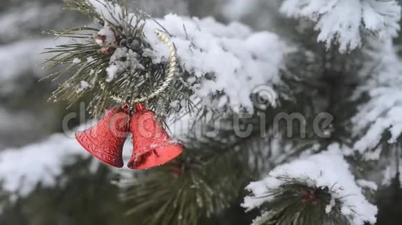 圣诞节装饰户外冰冻树枝背景冬季降雪视频的预览图