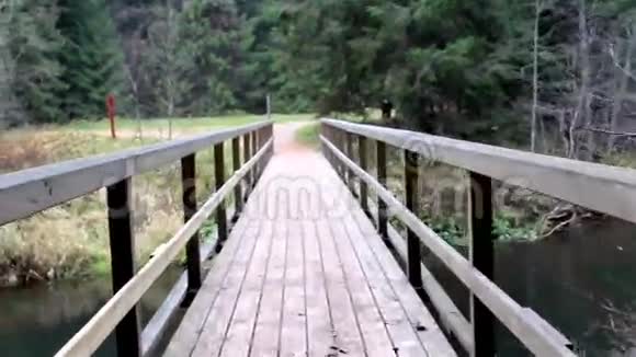 走在木桥上视频的预览图
