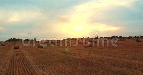 4k在日落天空下用稻草捆住的超高清无人机视频的预览图