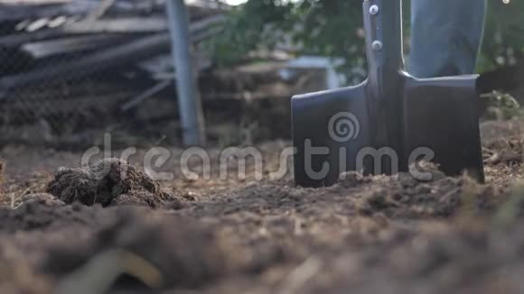 农夫用铲子挖地用花园铁锹特写慢动作视频农民的生活方式视频的预览图