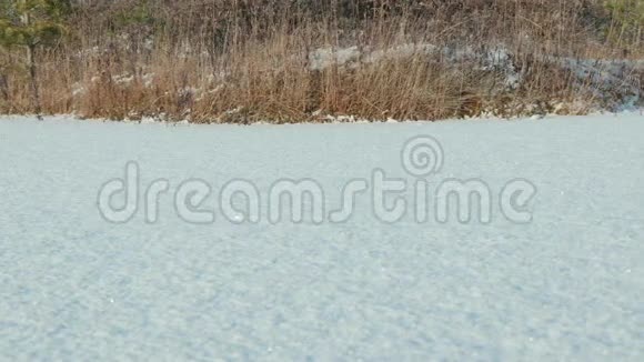 雪下的冰湖白天干净而寒冷光滑的娃娃射击视频的预览图