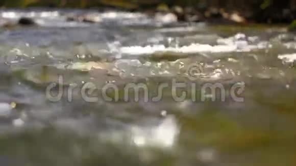 河流序列视频的预览图