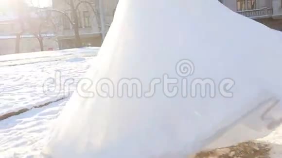 新婚夫妇在冬天亲吻视频的预览图