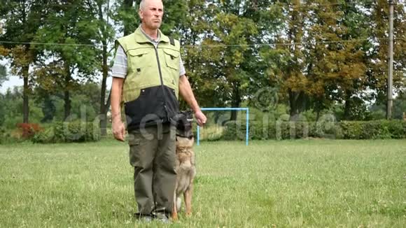 训练犬他教的是德国牧羊犬视频的预览图