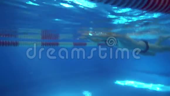 在水下观看美丽的专业游泳运动员在游泳池游泳爬行视频的预览图