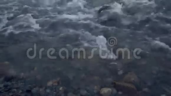 浅水区有灰色的卵石在河床上流过岩石近距离拍摄视频的预览图