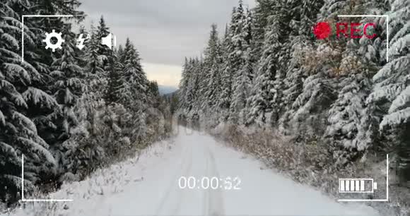 冬天用数码相机拍摄森林视频的预览图