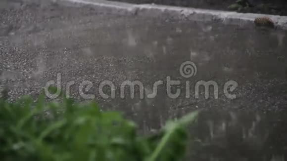 雨水落在公园里的沥青上视频的预览图
