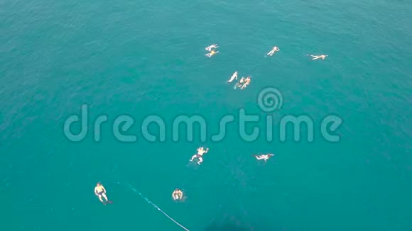 人们在绿松石海水中游泳鸟瞰在蓝色海水中洗澡的人的俯视图飞行中的景观视频的预览图