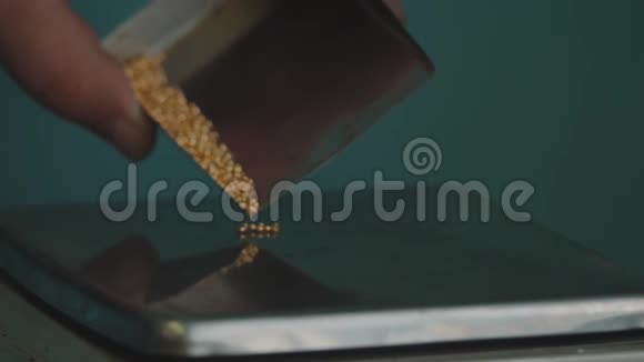 黄金颗粒黄金颗粒金银在天平上称重珠宝制造视频的预览图