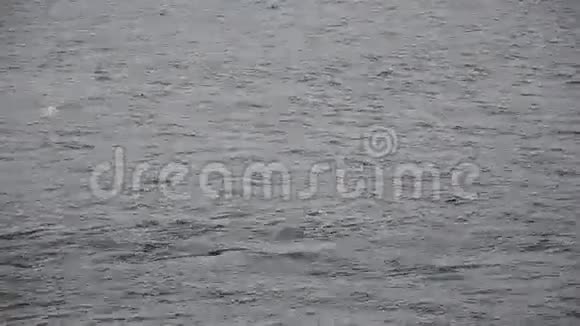 靠近冬季河流浪潮视频的预览图
