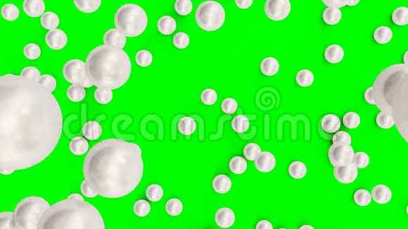 在绿色背景上孤立的表面上掉落和滚动珍珠珠宝珍珠珠灿烂的牡蛎珍珠视频的预览图