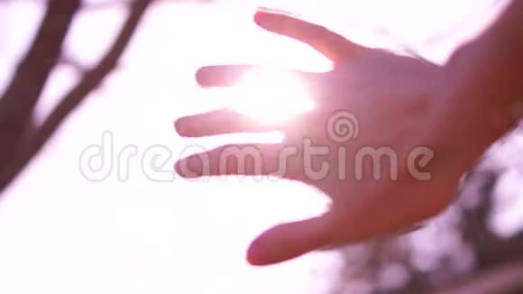 太阳的射线穿过手指棕榈生活的乐趣视频的预览图