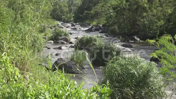 热带雨后的深山河在岩石河岸上生长着茂密的异国森林令人惊叹的河流景观视频的预览图