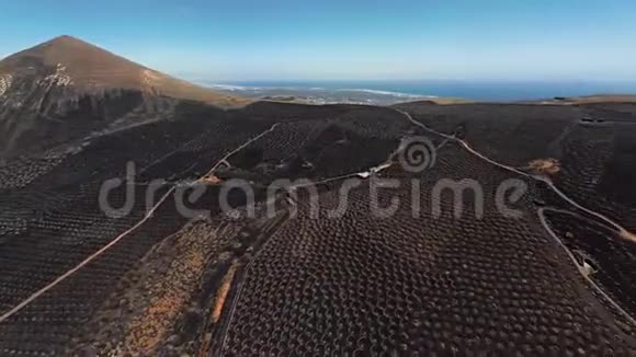 加那利群岛拉吉里亚兰萨罗特的酒谷视频的预览图