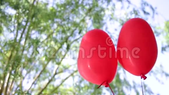 氦气球在树木和天空的背景上扎心视频的预览图