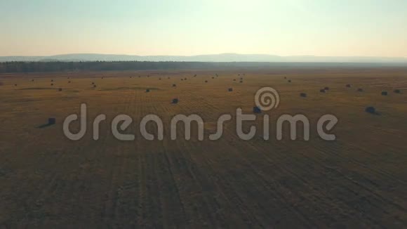 收获小麦后剩下的干草空中景观尘埃场视频的预览图