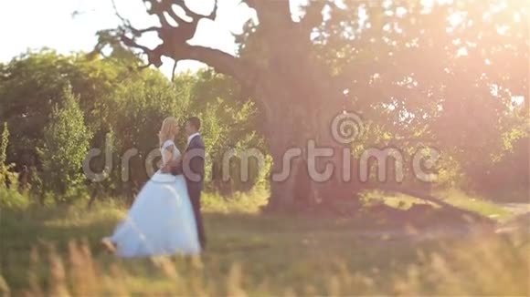 美丽的日落背景下美丽优雅的幸福新娘和时尚的新郎在森林里视频的预览图