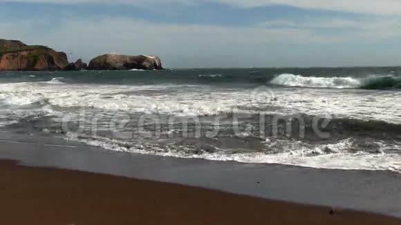 沙滩上的波浪和鸟儿在加利福尼亚飞翔视频的预览图